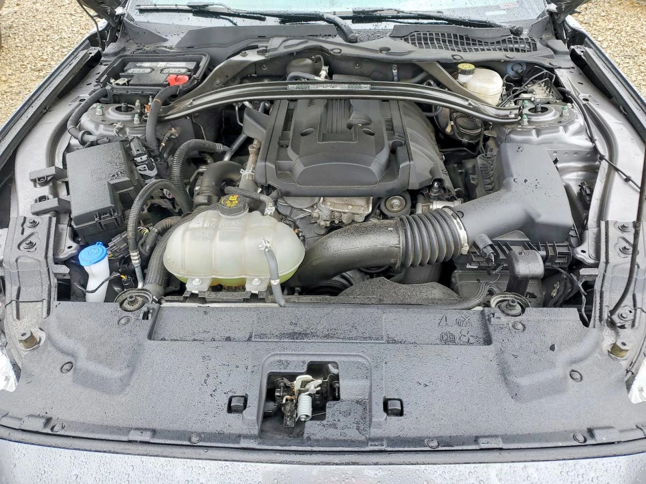 Ford Mustang 2.3l EcoBoost Fastback, снимка 11 - Автомобили и джипове - 54389836