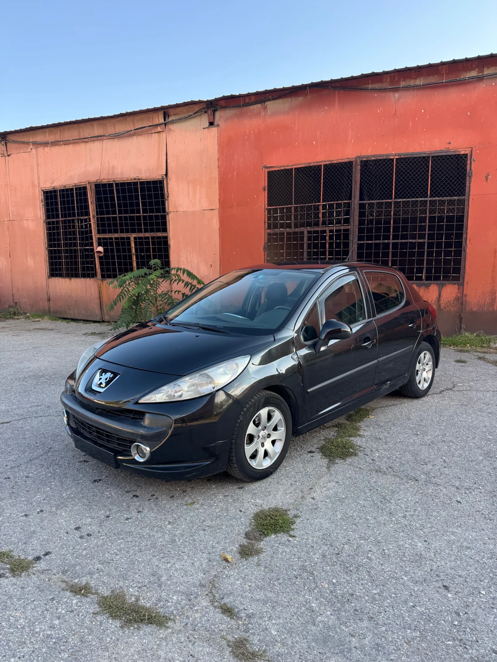 Peugeot 207 1.4 HDi - изображение 2