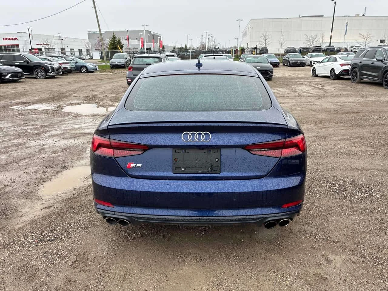 Audi S5 * Technik * ДИСТРОНИК * 360 * КОМПЛЕКТ ГУМИ, снимка 4 - Автомобили и джипове - 54414057