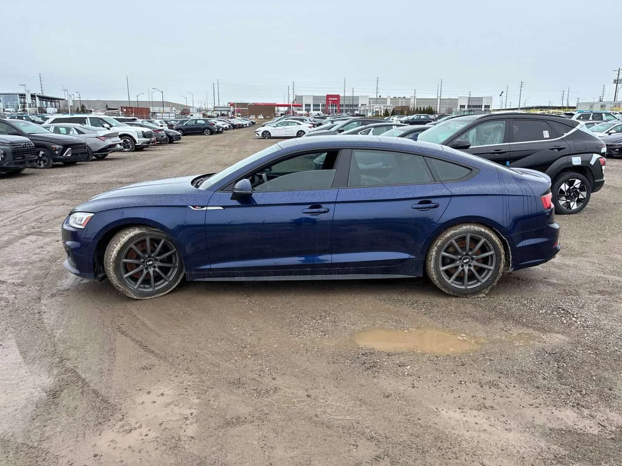 Audi S5 * Technik * ДИСТРОНИК * 360 * КОМПЛЕКТ ГУМИ, снимка 2 - Автомобили и джипове - 54414057