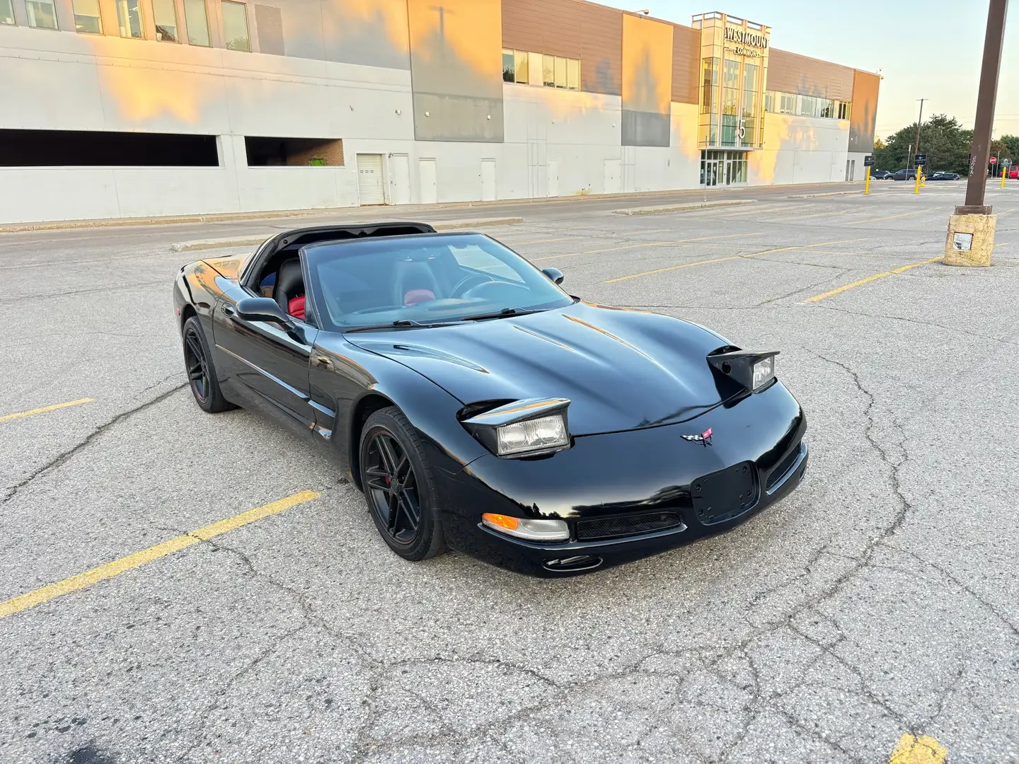 Chevrolet Corvette 5.7 V8 Targa, снимка 5 - Автомобили и джипове - 56661372