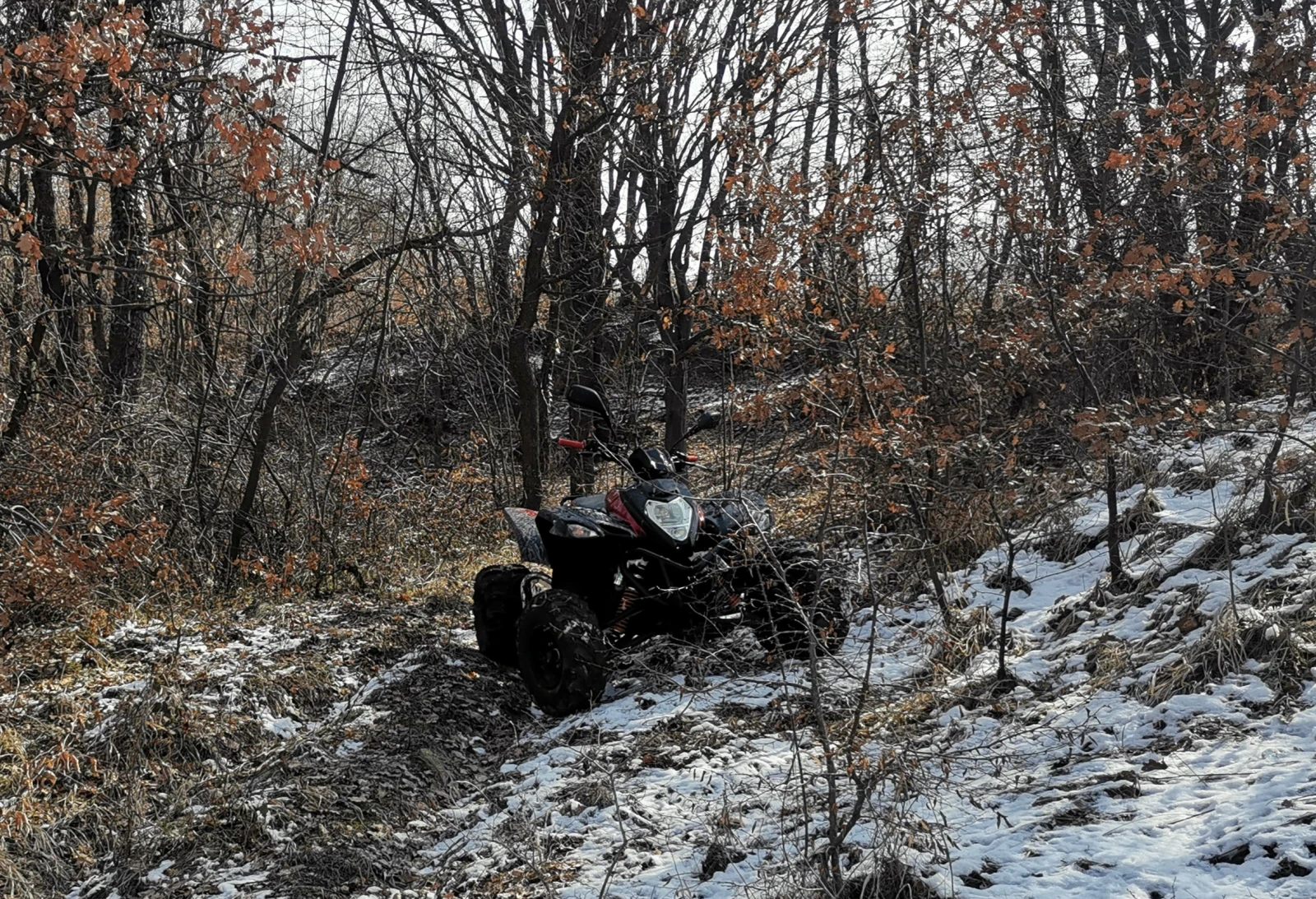 ADLI 700, снимка 5 - Мотоциклети и мототехника - 53567087