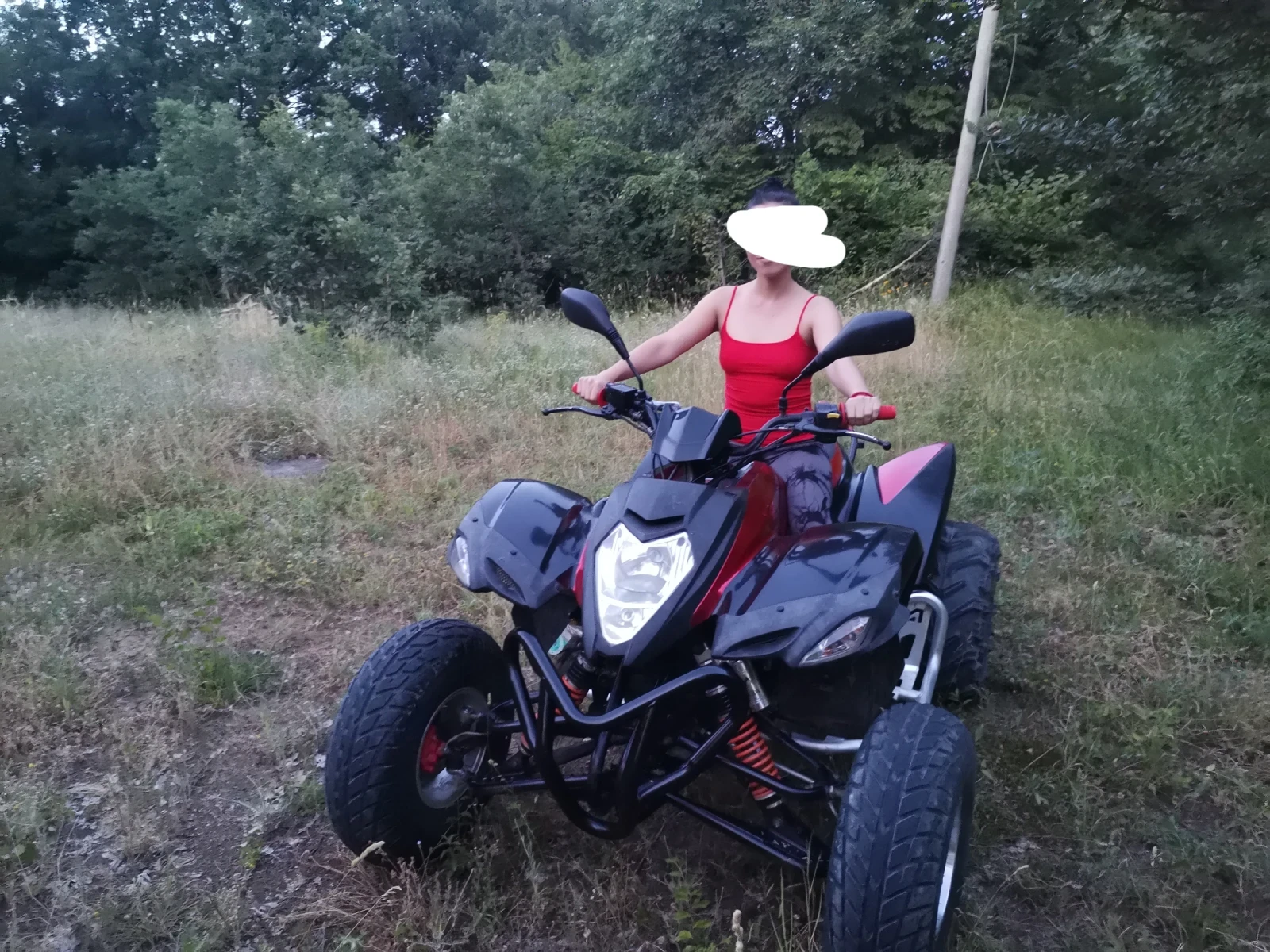 ADLI 700, снимка 4 - Мотоциклети и мототехника - 53567087