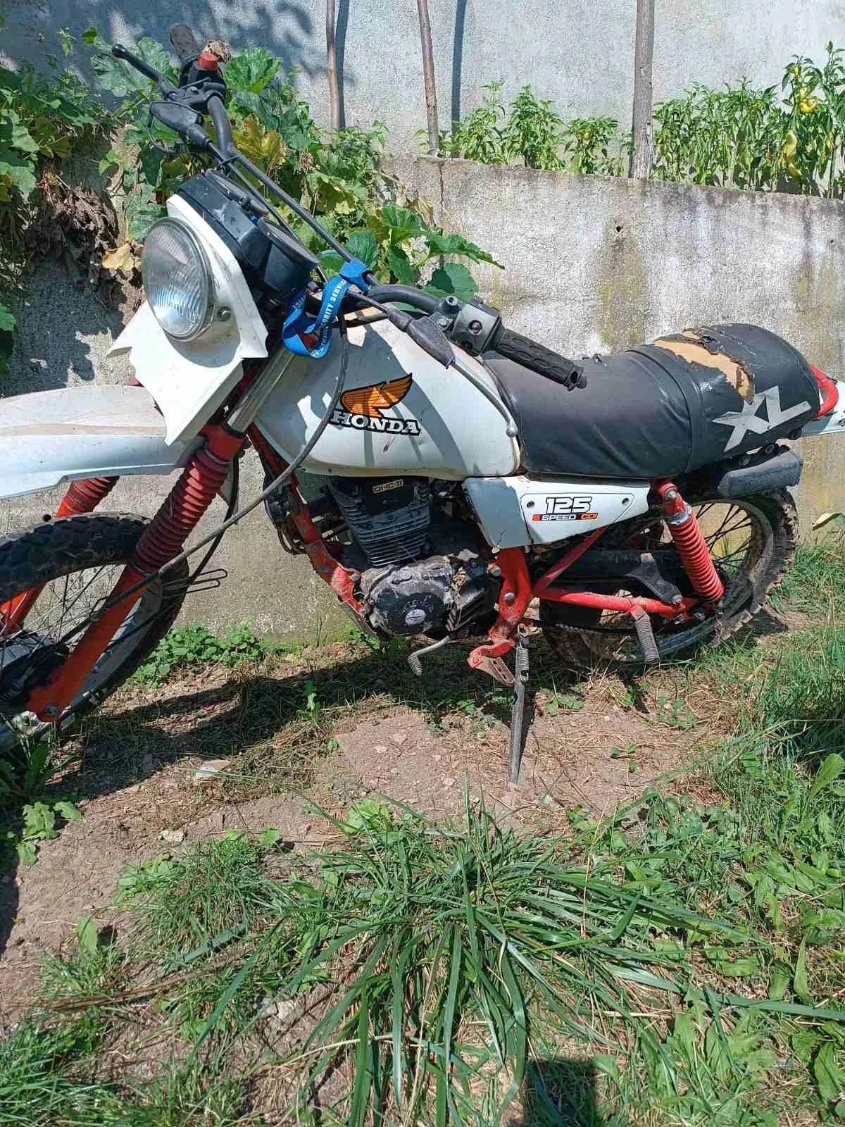 Honda Xl