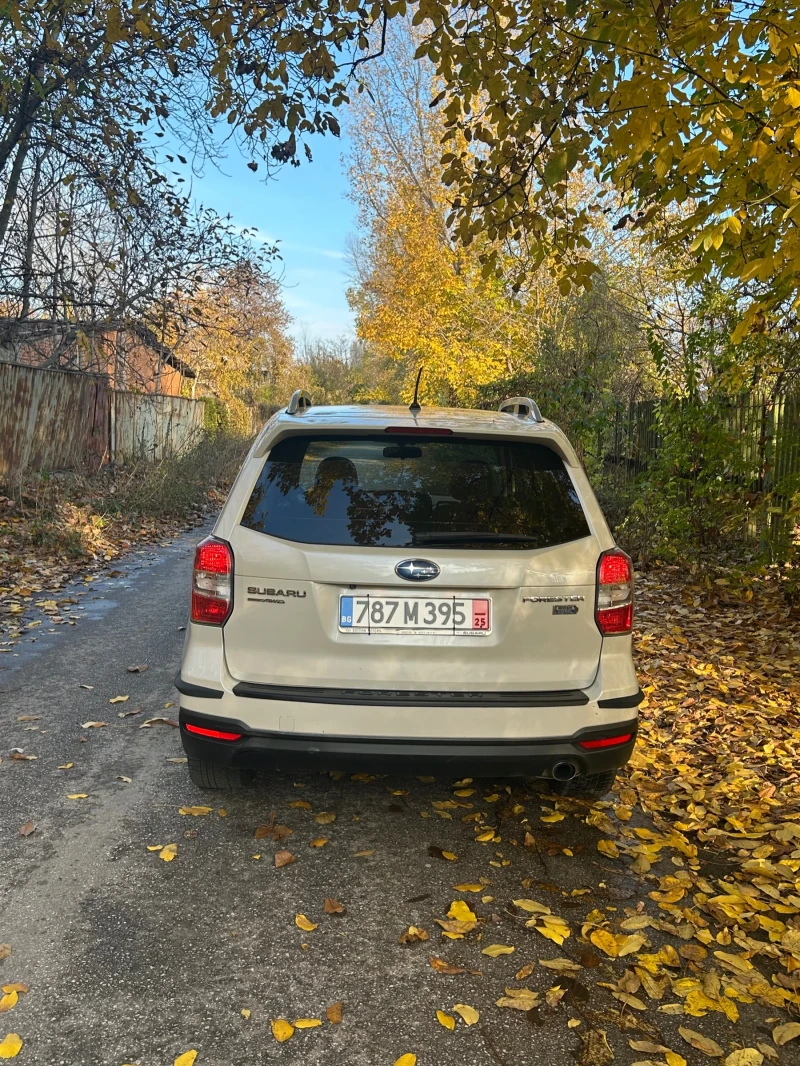 Subaru Forester, снимка 4 - Автомобили и джипове - 52450049