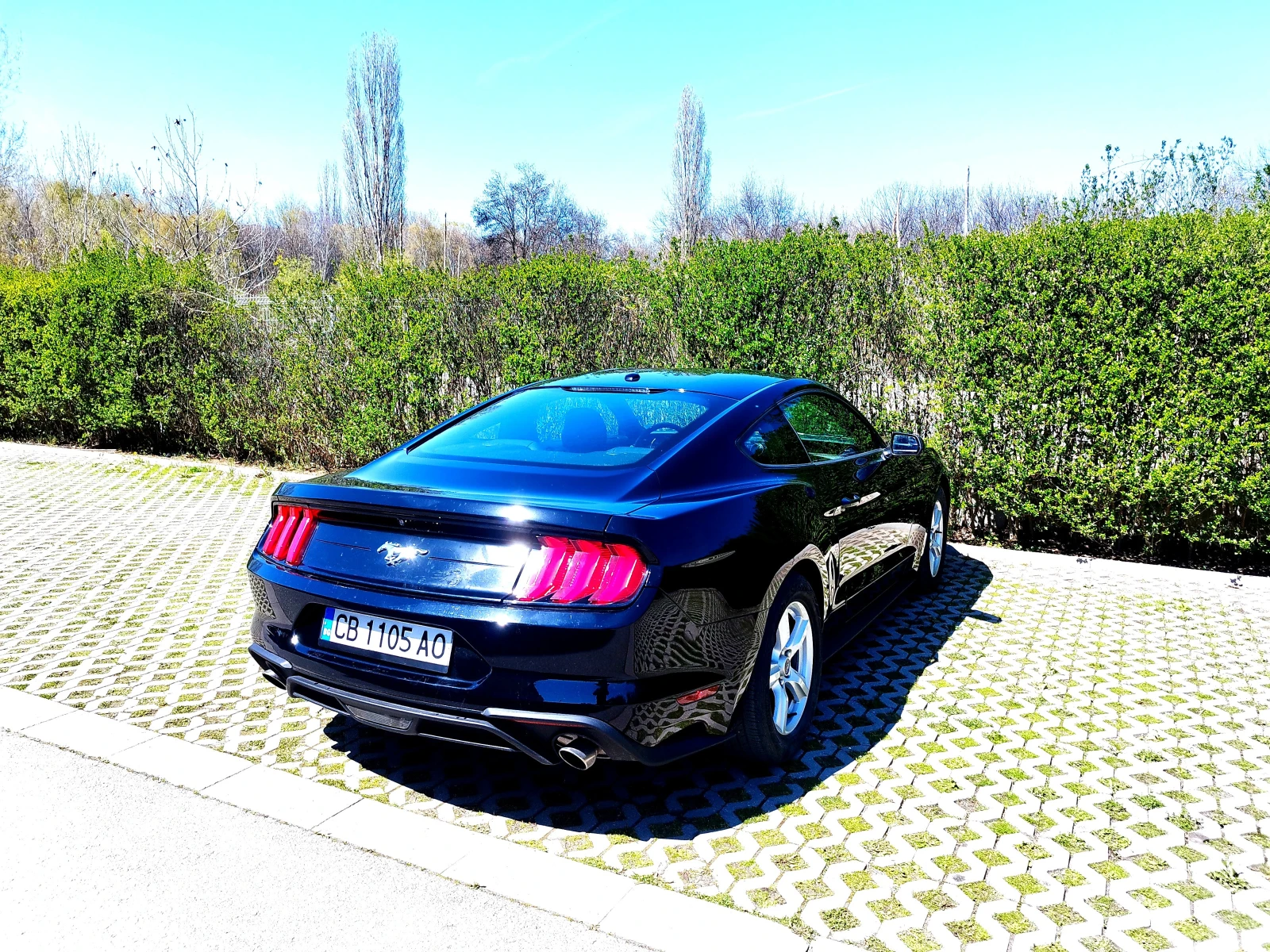 Ford Mustang модел 19г.-25г. - изображение 3