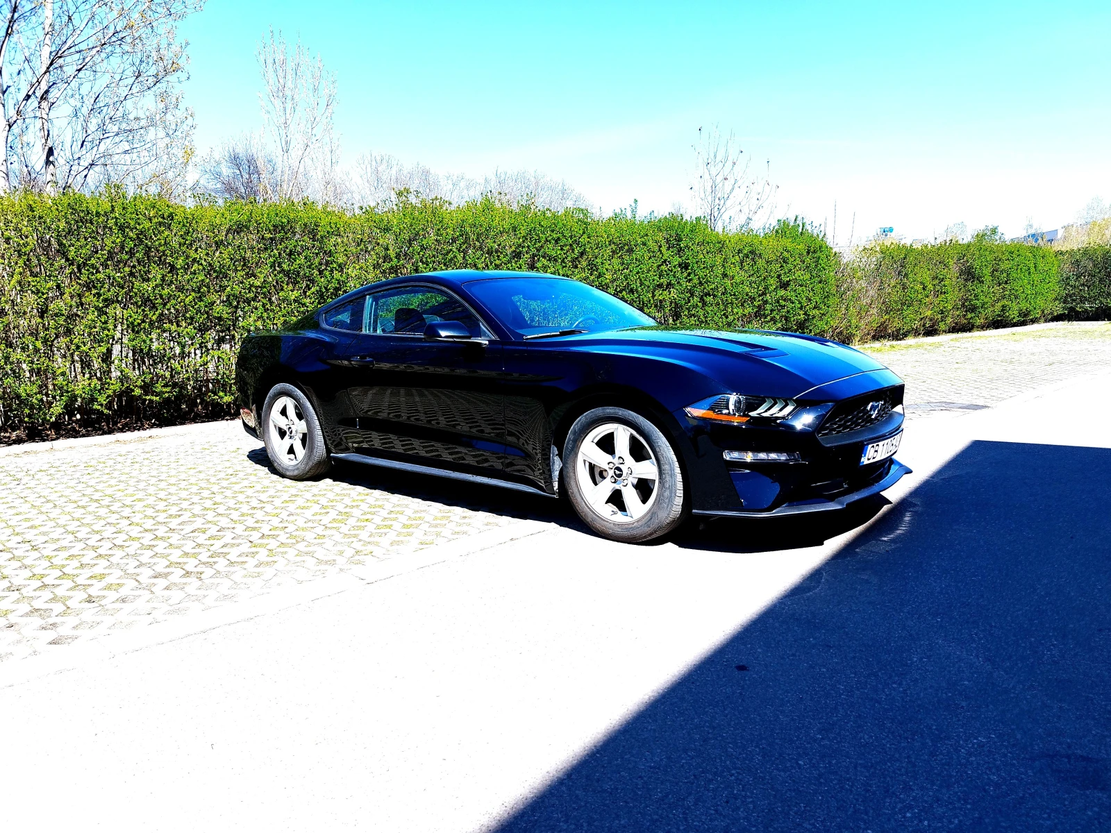 Ford Mustang модел 19г.-25г. - изображение 2