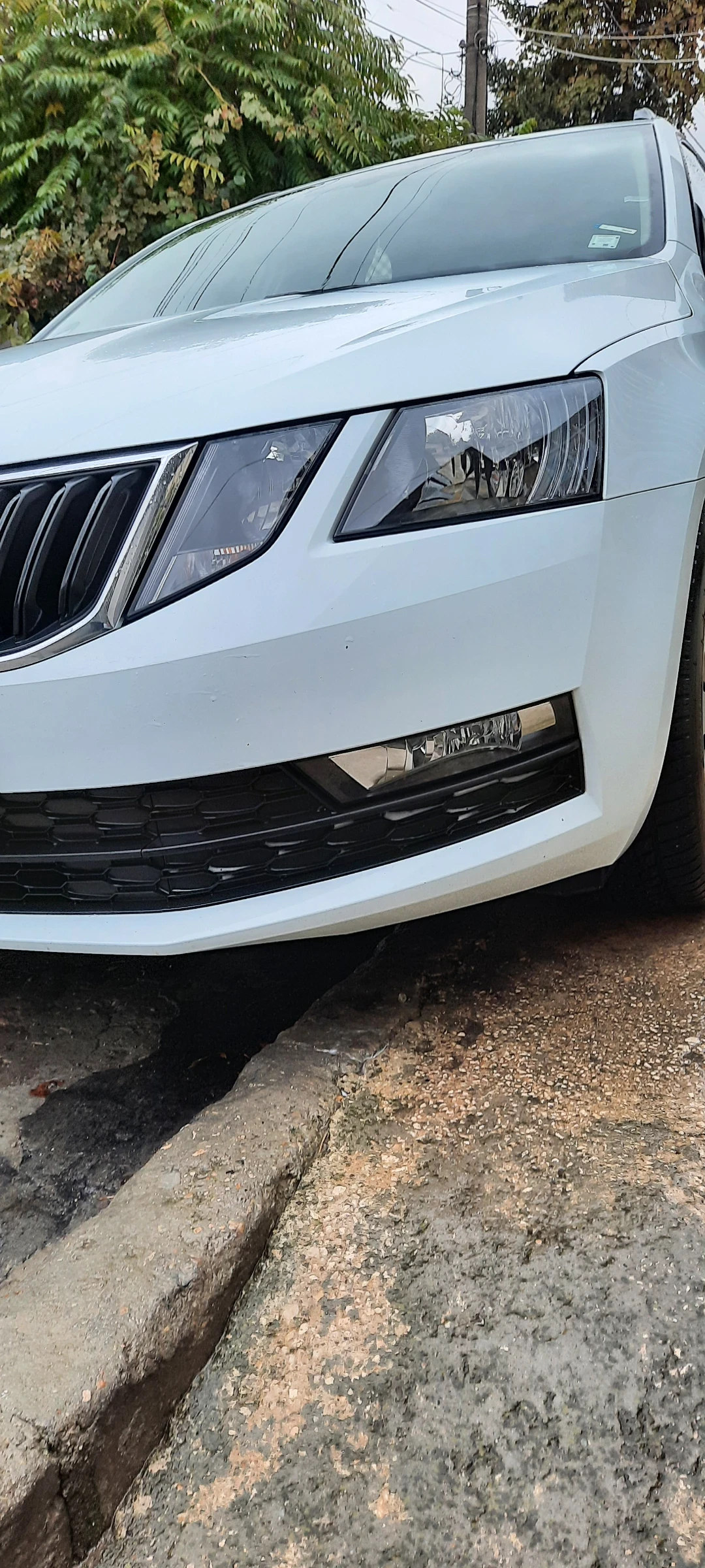 Skoda Octavia, снимка 3 - Автомобили и джипове - 54246133