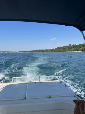 ������� ���� Campion Christian | Mobile.bg � ����� ������ 7