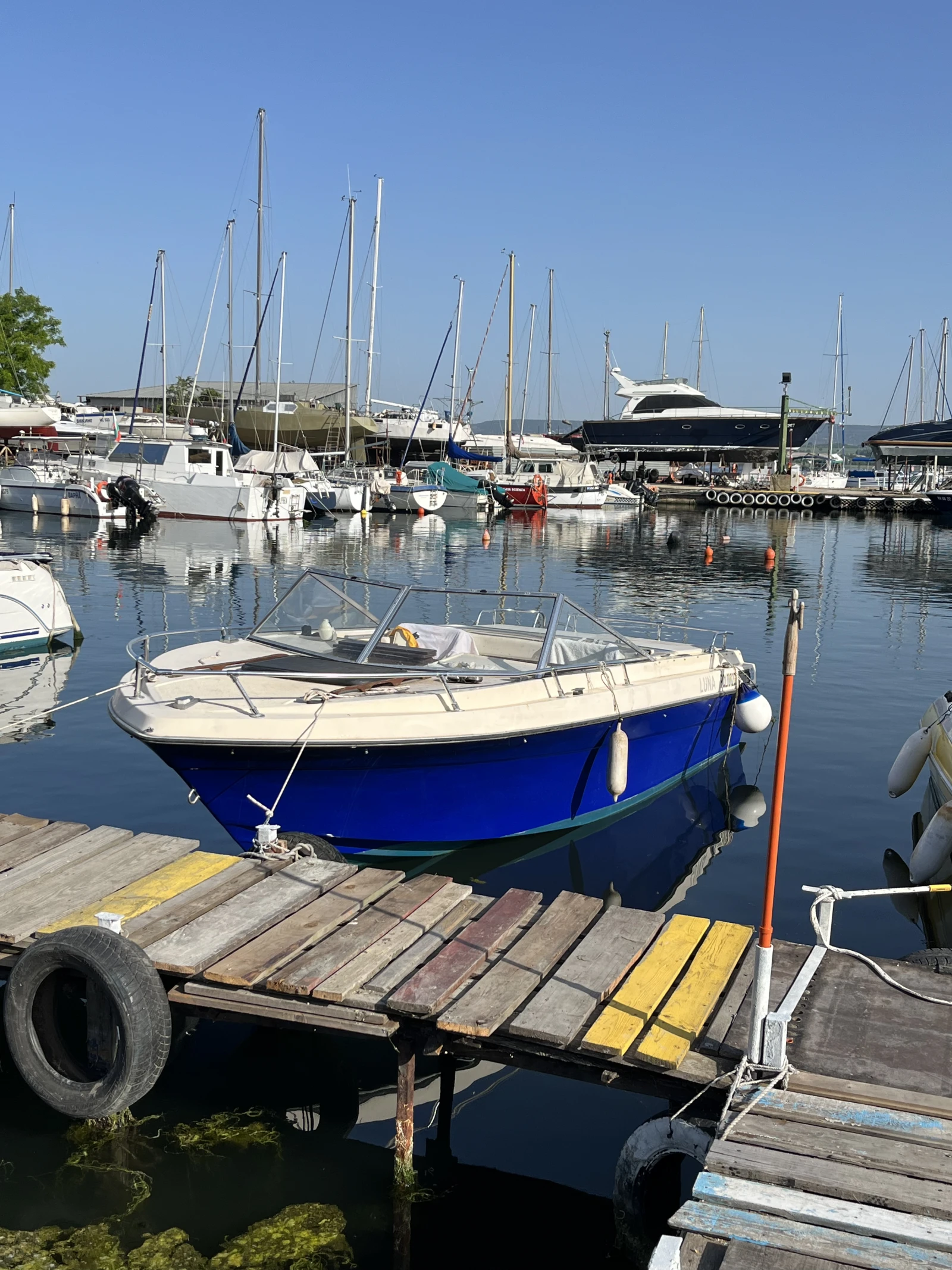 ������� ���� Campion Christian | Mobile.bg � ����������� 5