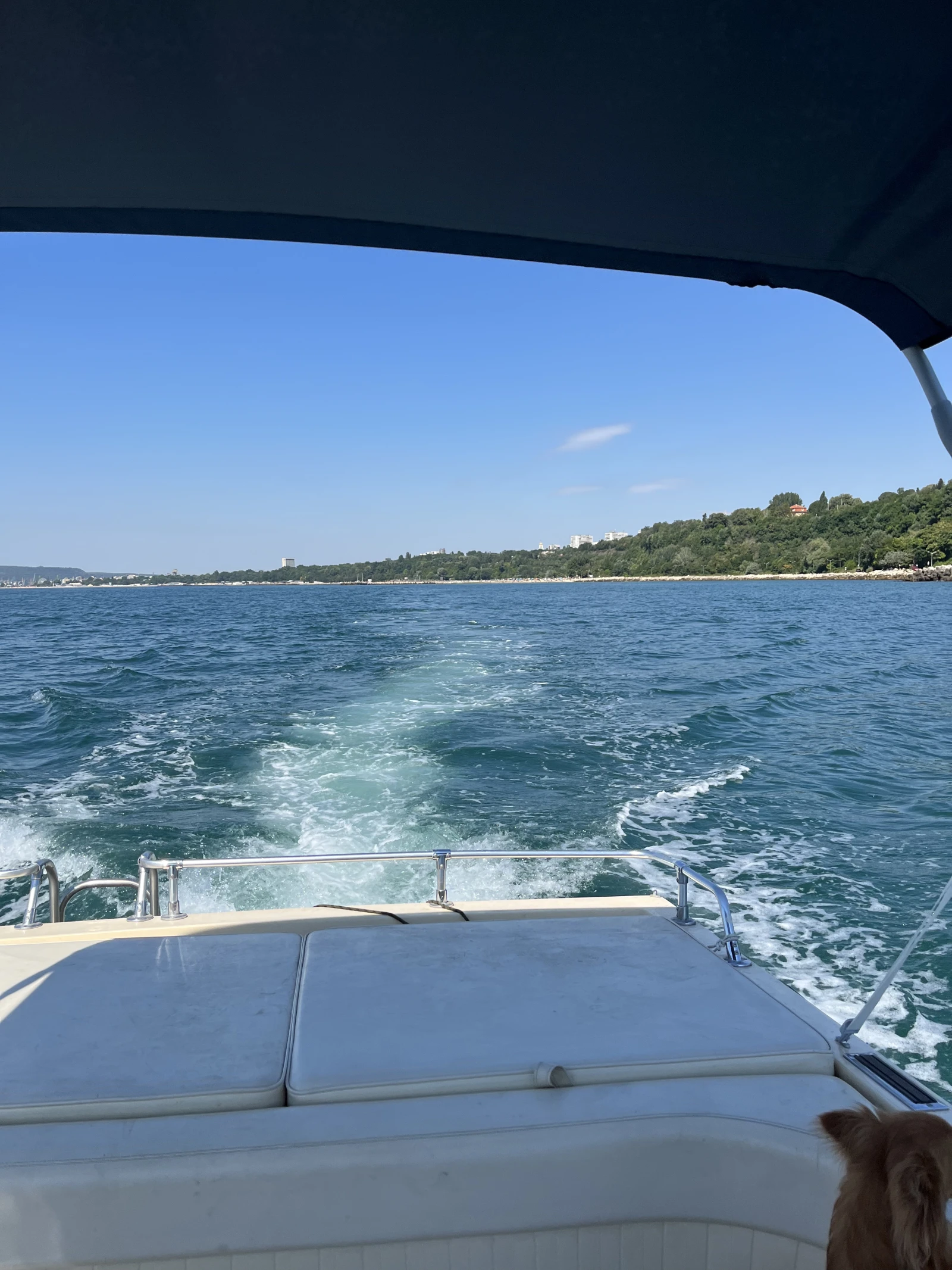 ������� ���� Campion Christian | Mobile.bg � ����������� 7