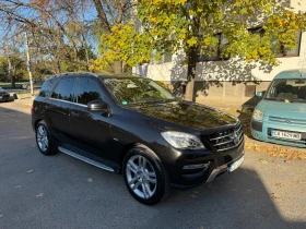 Mercedes-Benz ML ML300 BLUETEC, снимка 8