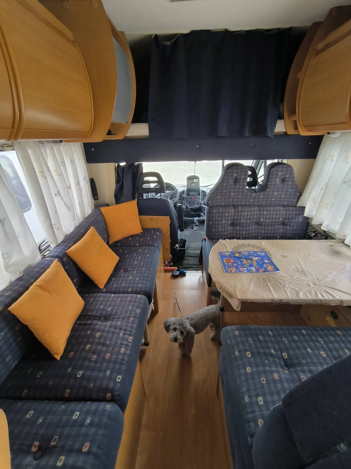  CI International Fiat Ducato 15 | Mobile.bg   12