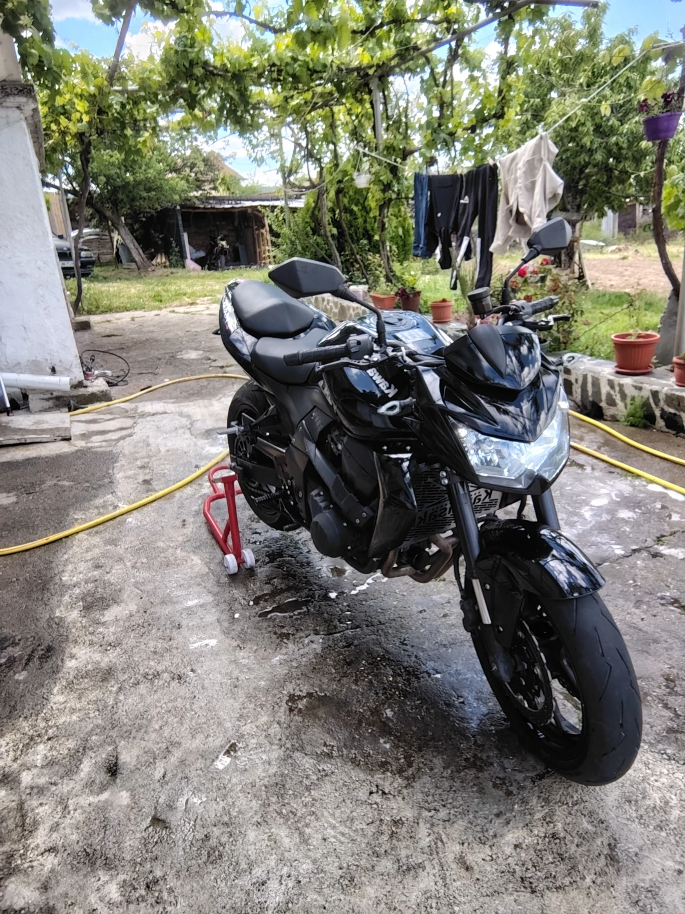 Kawasaki Z  - изображение 5