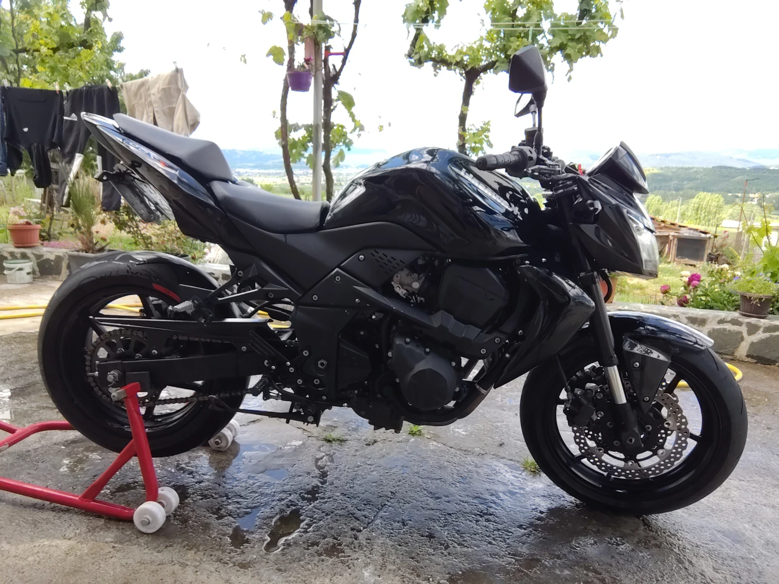 Kawasaki Z  - изображение 6