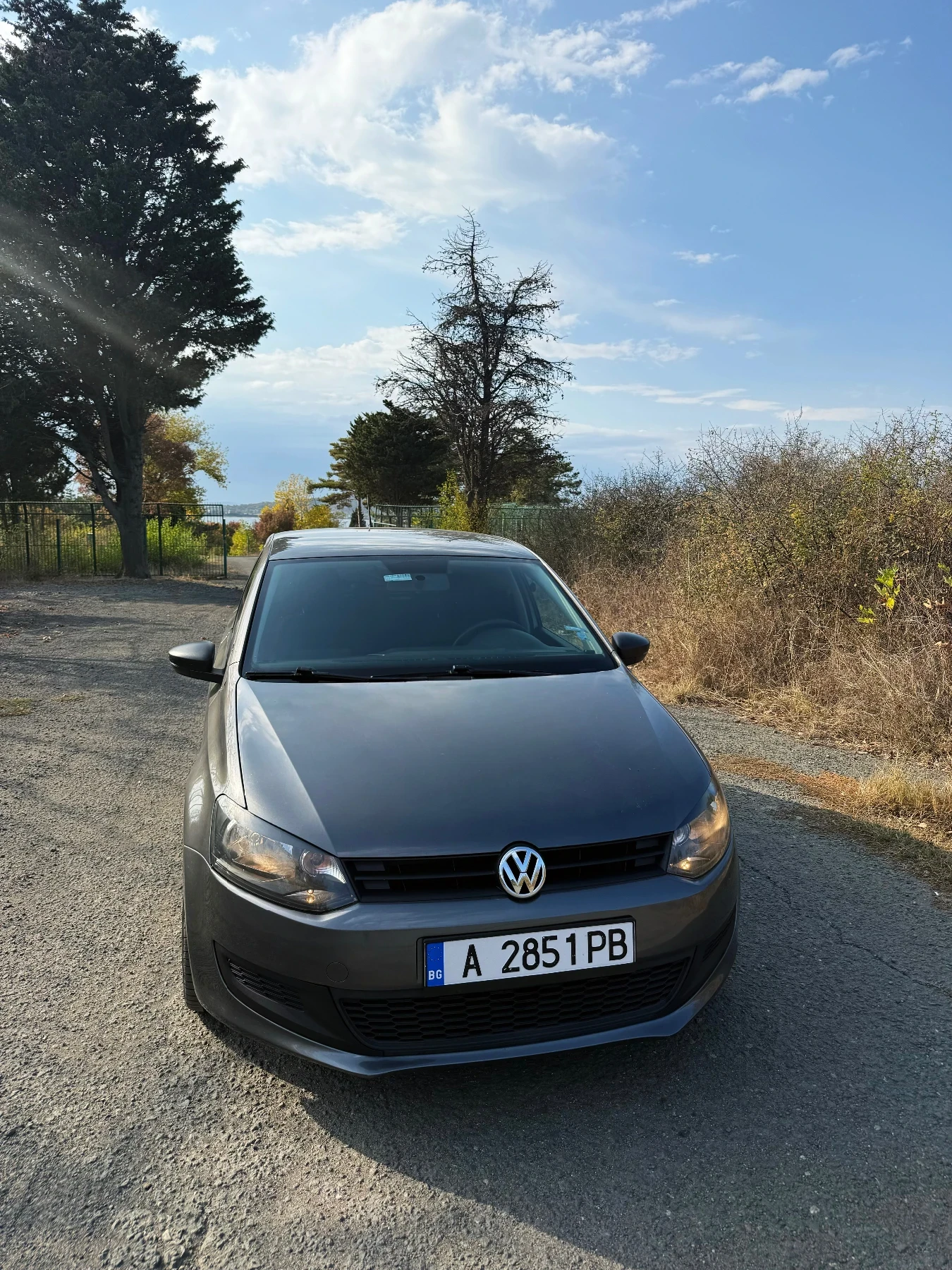 VW Polo