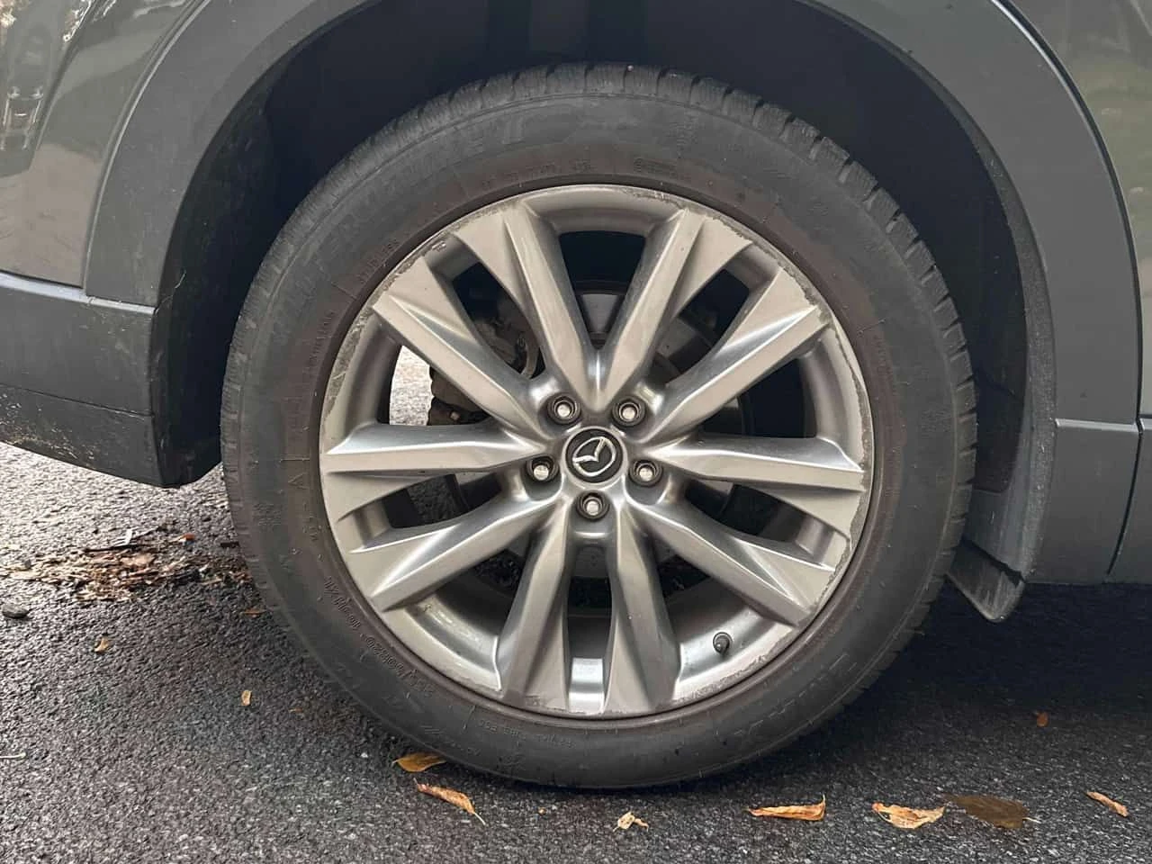 Mazda CX-9 * AWD * CARFAX * ������� * ������ * ������� * ���� | Mobile.bg � ����������� 15