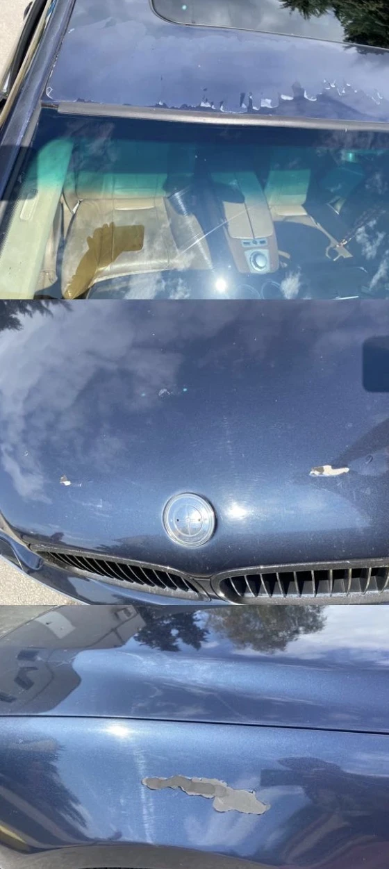 BMW 745 745i | Mobile.bg � ����������� 8