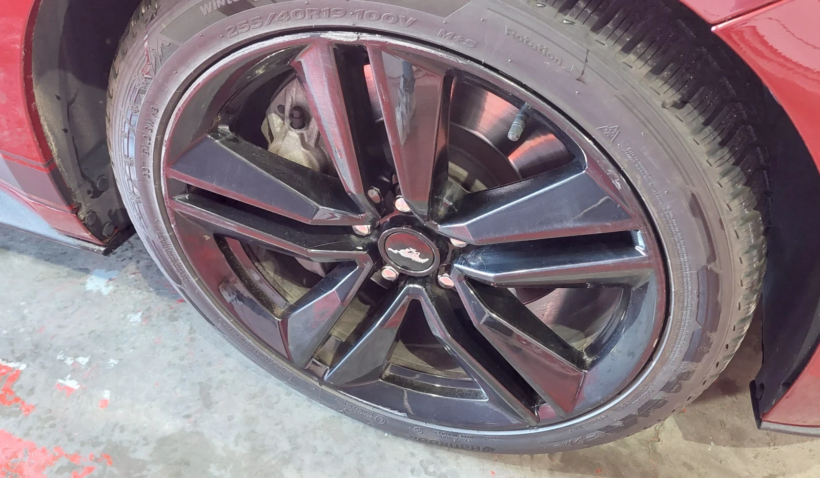 Ford Mustang  - изображение 7