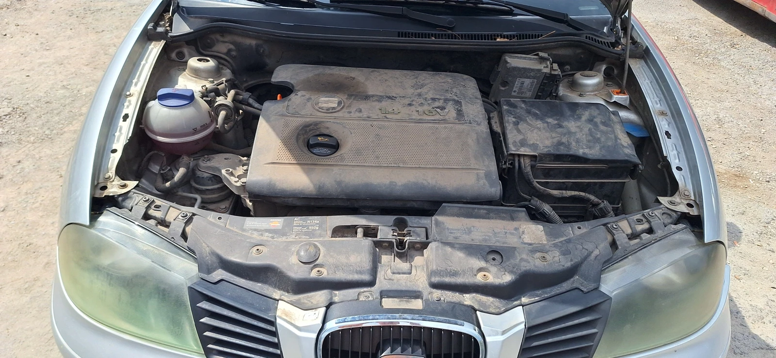 Seat Ibiza  - изображение 6