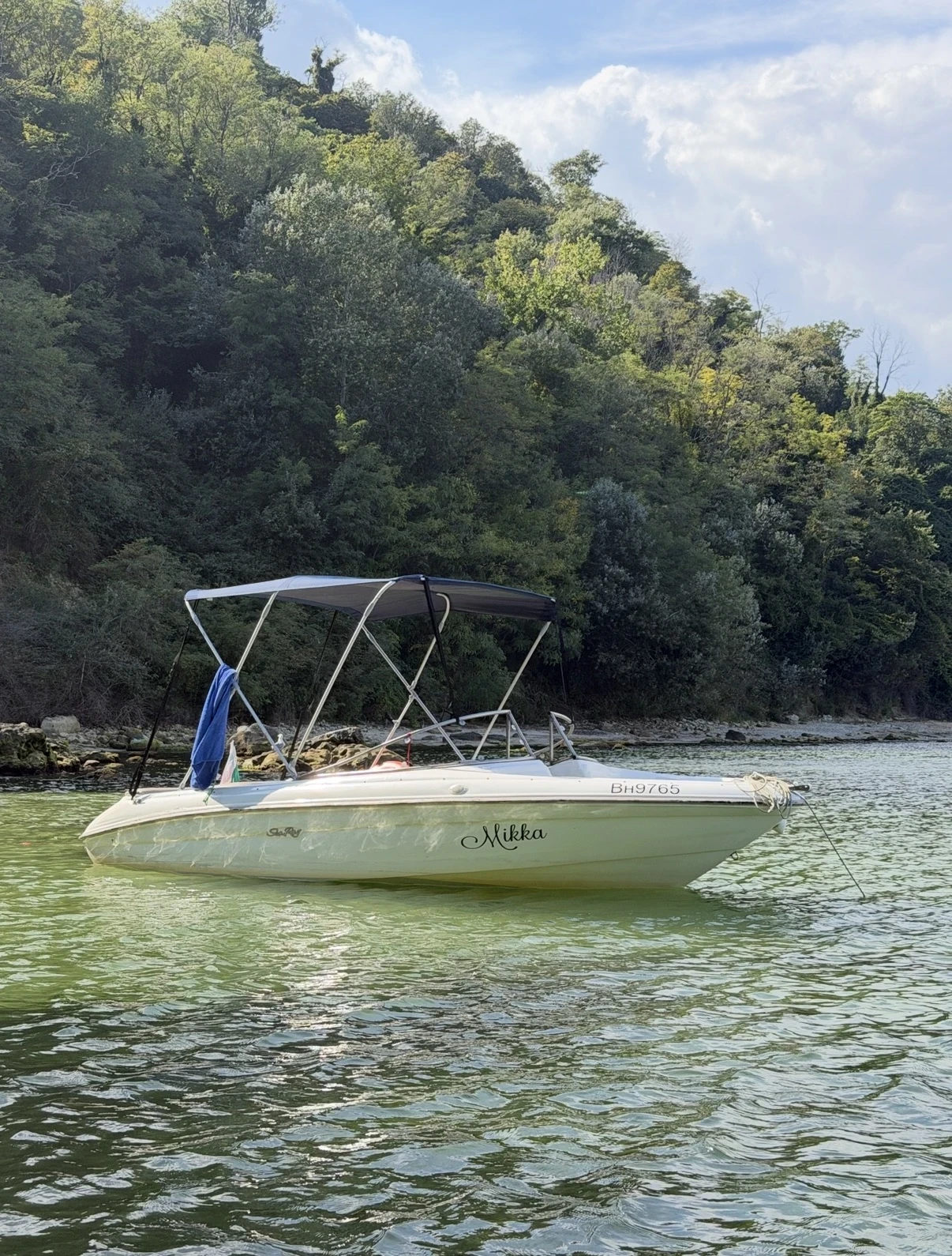 Моторна яхта Sea Ray 175 BR, снимка 3 - Воден транспорт - 56345243