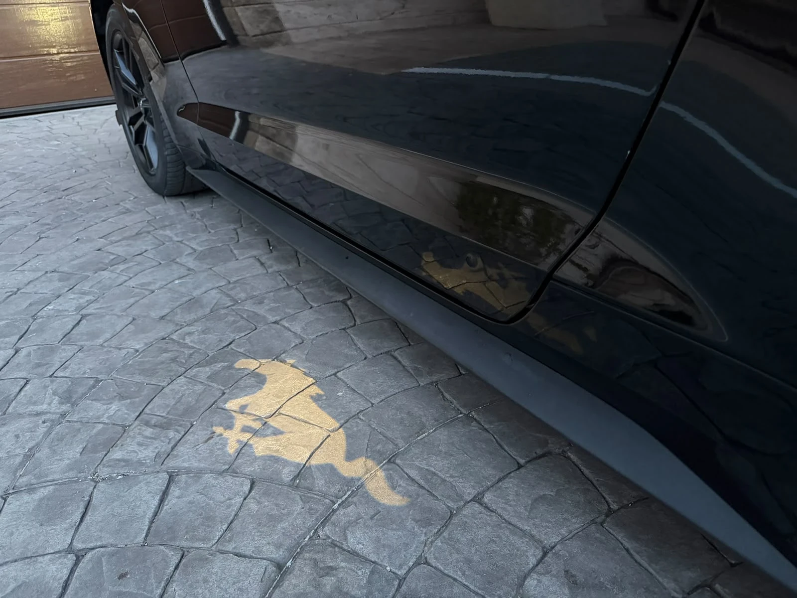 Ford Mustang 2.3 Premium Cabrio | ������ | Mobile.bg � ����������� 15