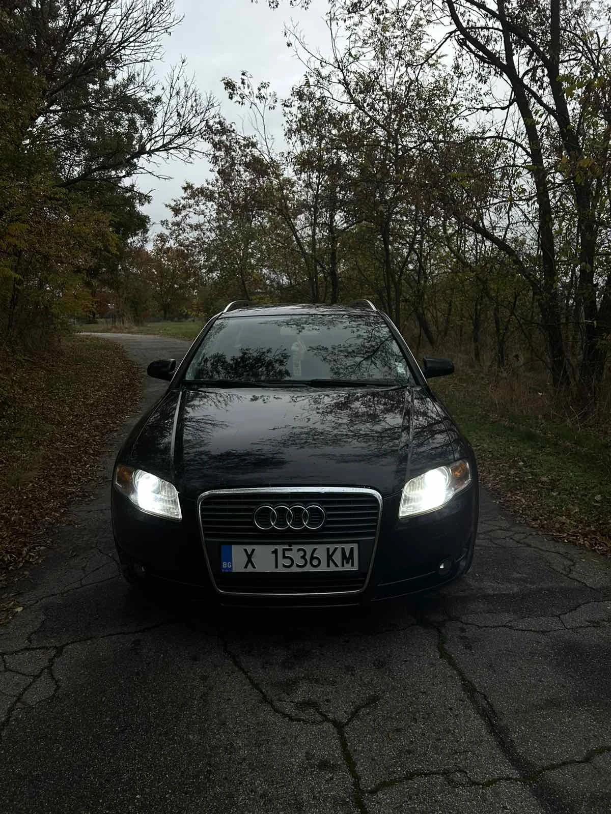 Audi A4, снимка 2 - Автомобили и джипове - 56740103