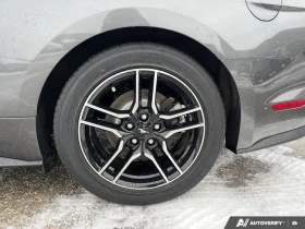 Ford Mustang EcoBoost С РЕГИСТРАЦИЯ & АВТО КРЕДИТ   - 22700 € / 44397.34 лв. - 21678989 12