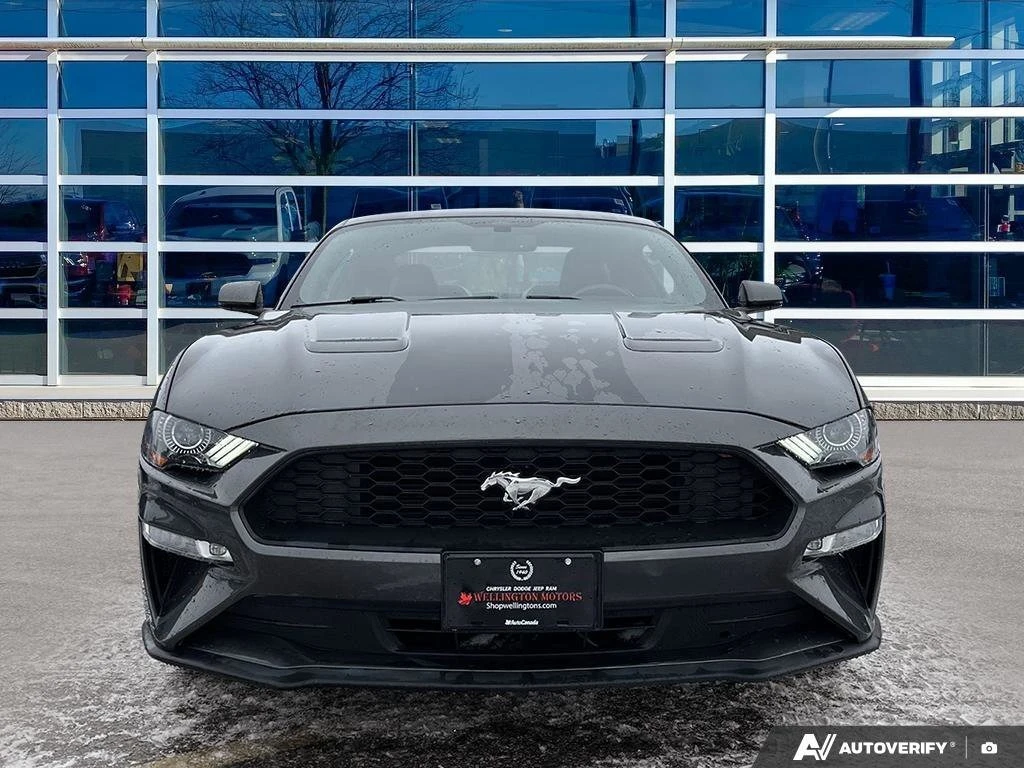Ford Mustang EcoBoost � ����������� & ���� ������   | Mobile.bg � ����������� 6