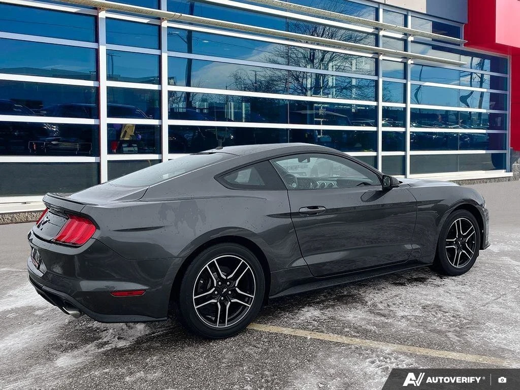 Ford Mustang EcoBoost � ����������� & ���� ������   | Mobile.bg � ����������� 3