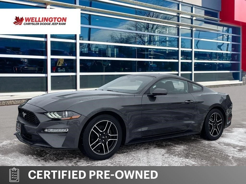 Ford Mustang EcoBoost � ����������� & ���� ������   | Mobile.bg � ����������� 1