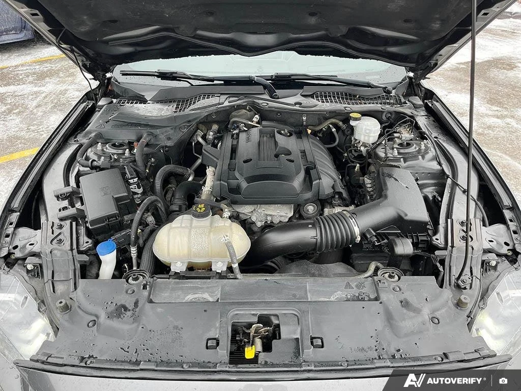 Ford Mustang EcoBoost � ����������� & ���� ������   | Mobile.bg � ����������� 14