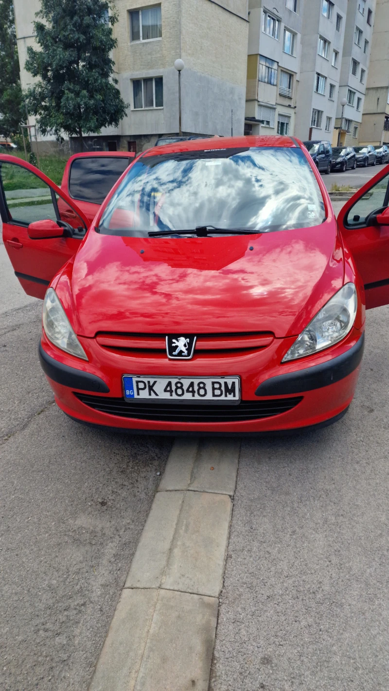 Peugeot 307, снимка 14 - Автомобили и джипове - 46482117