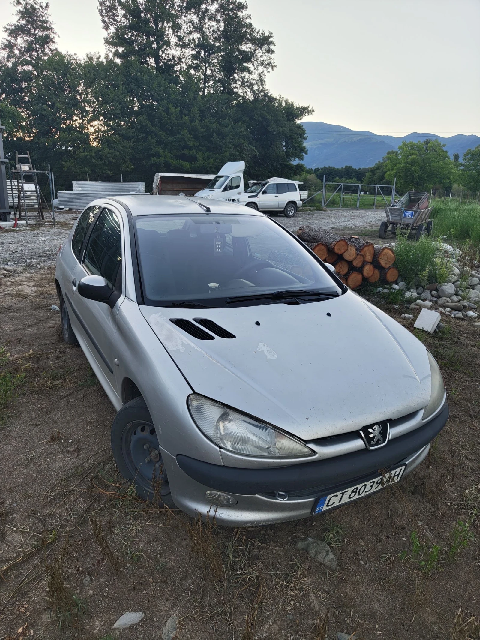 Peugeot 206