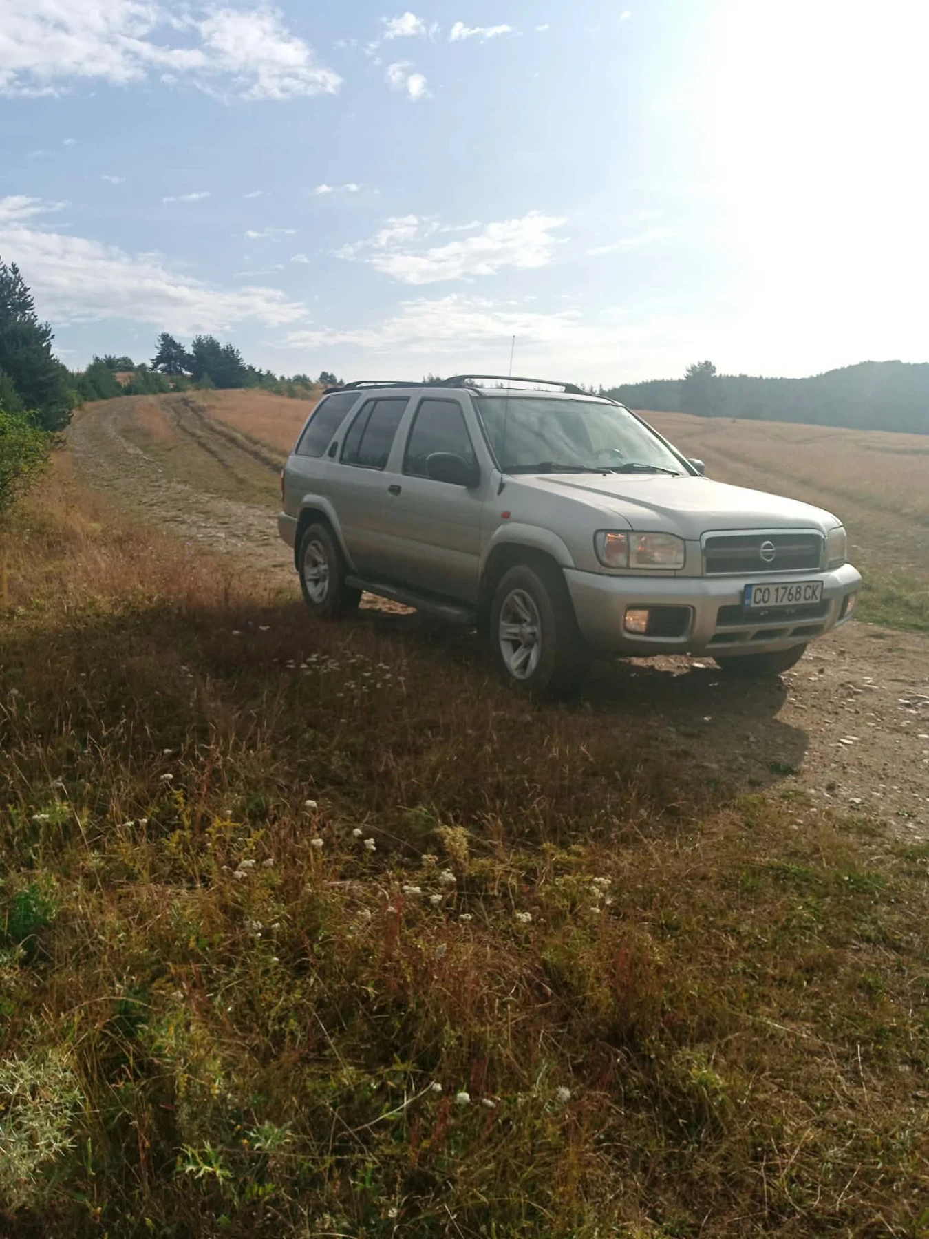 Nissan Pathfinder, снимка 2 - Автомобили и джипове - 56133671