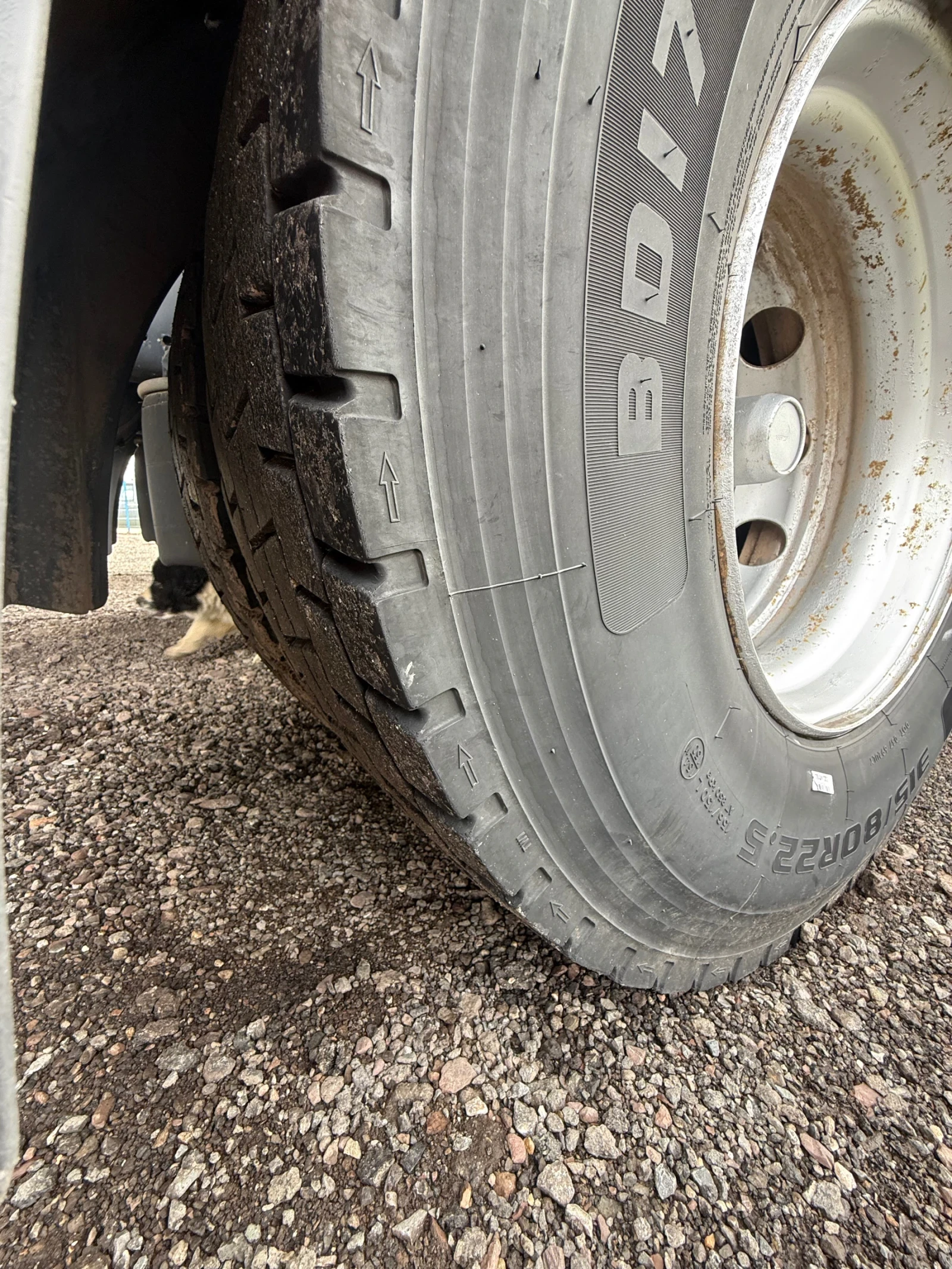 Scania P 420 | Mobile.bg � ����������� 5