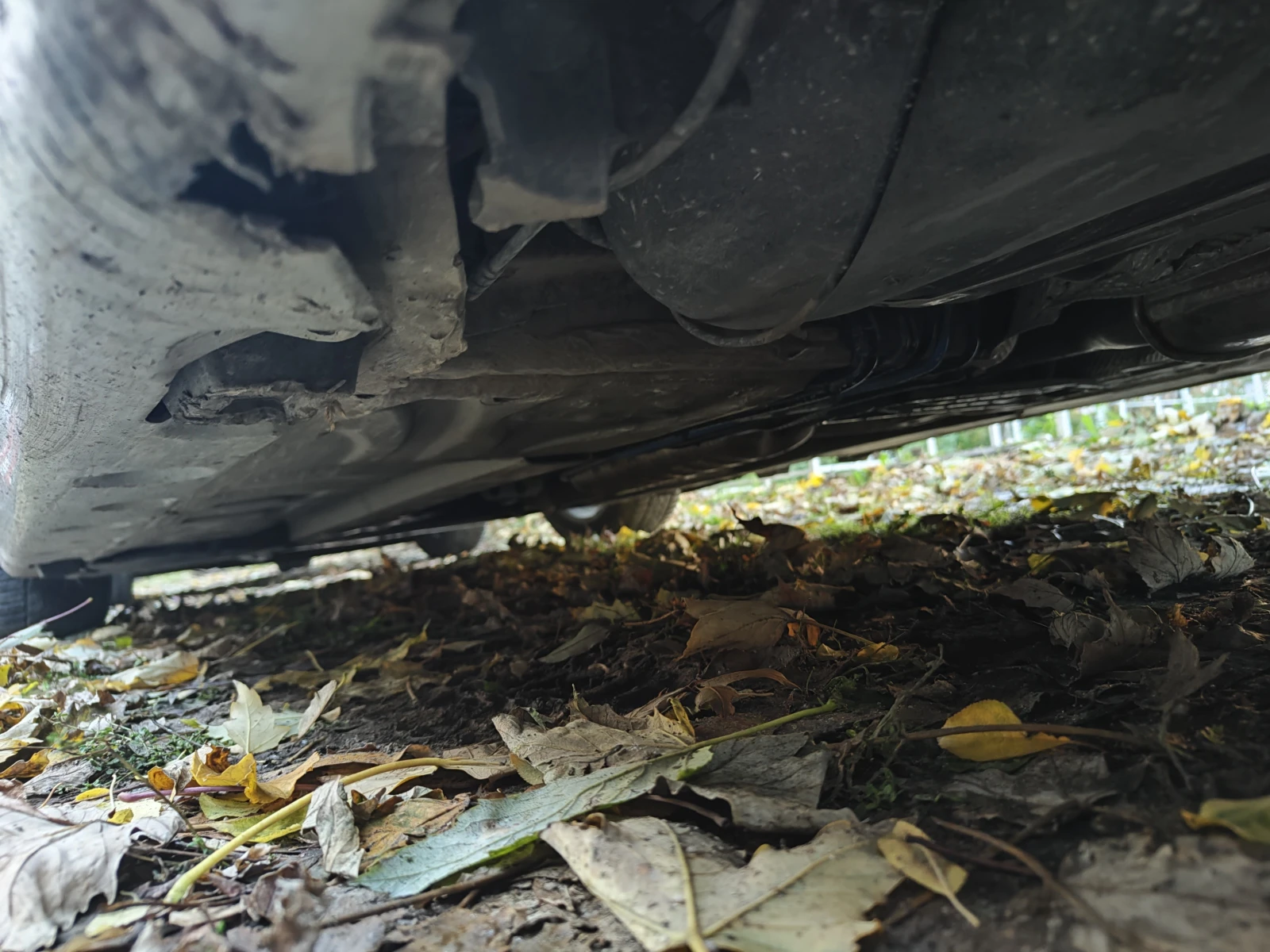 BMW 320 E46 320i - изображение 7