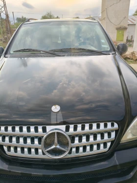 Mercedes-Benz ML 270, снимка 1