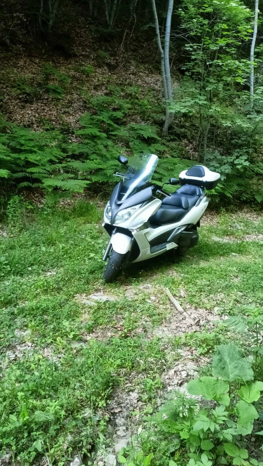 Honda Silver Wing 400 - изображение 4