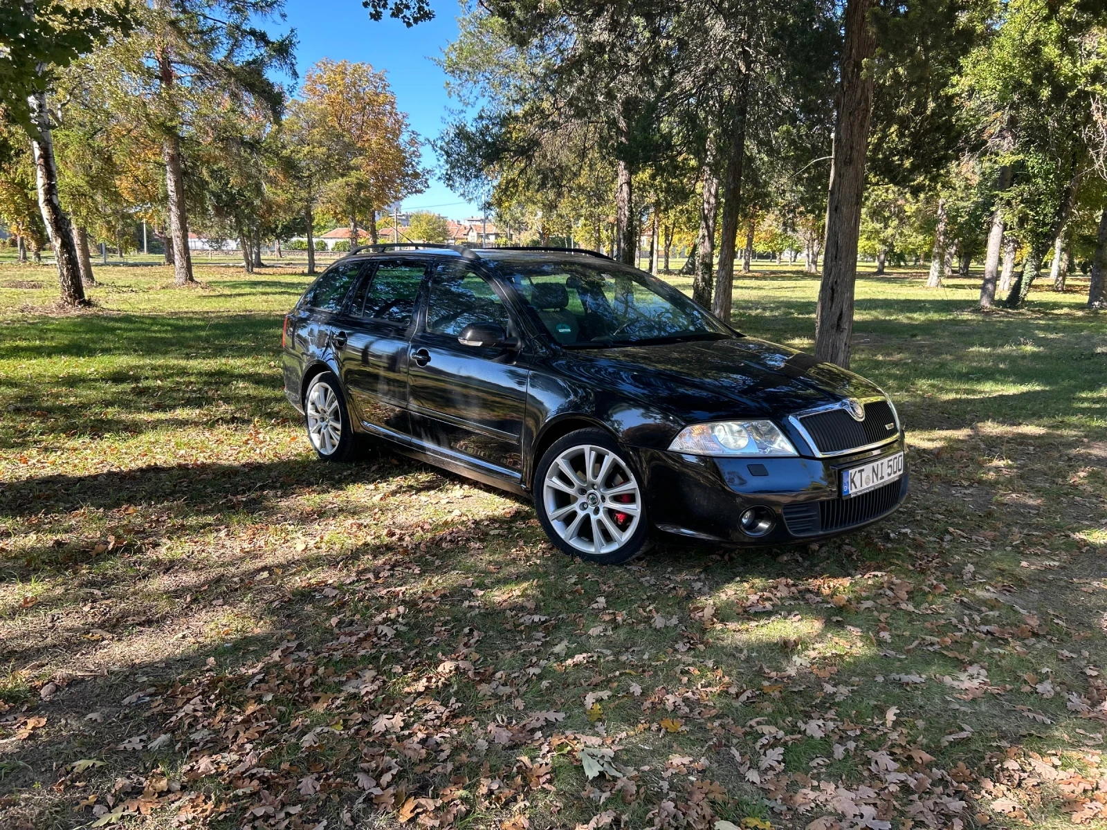 Skoda Octavia 2.0VRS - изображение 2