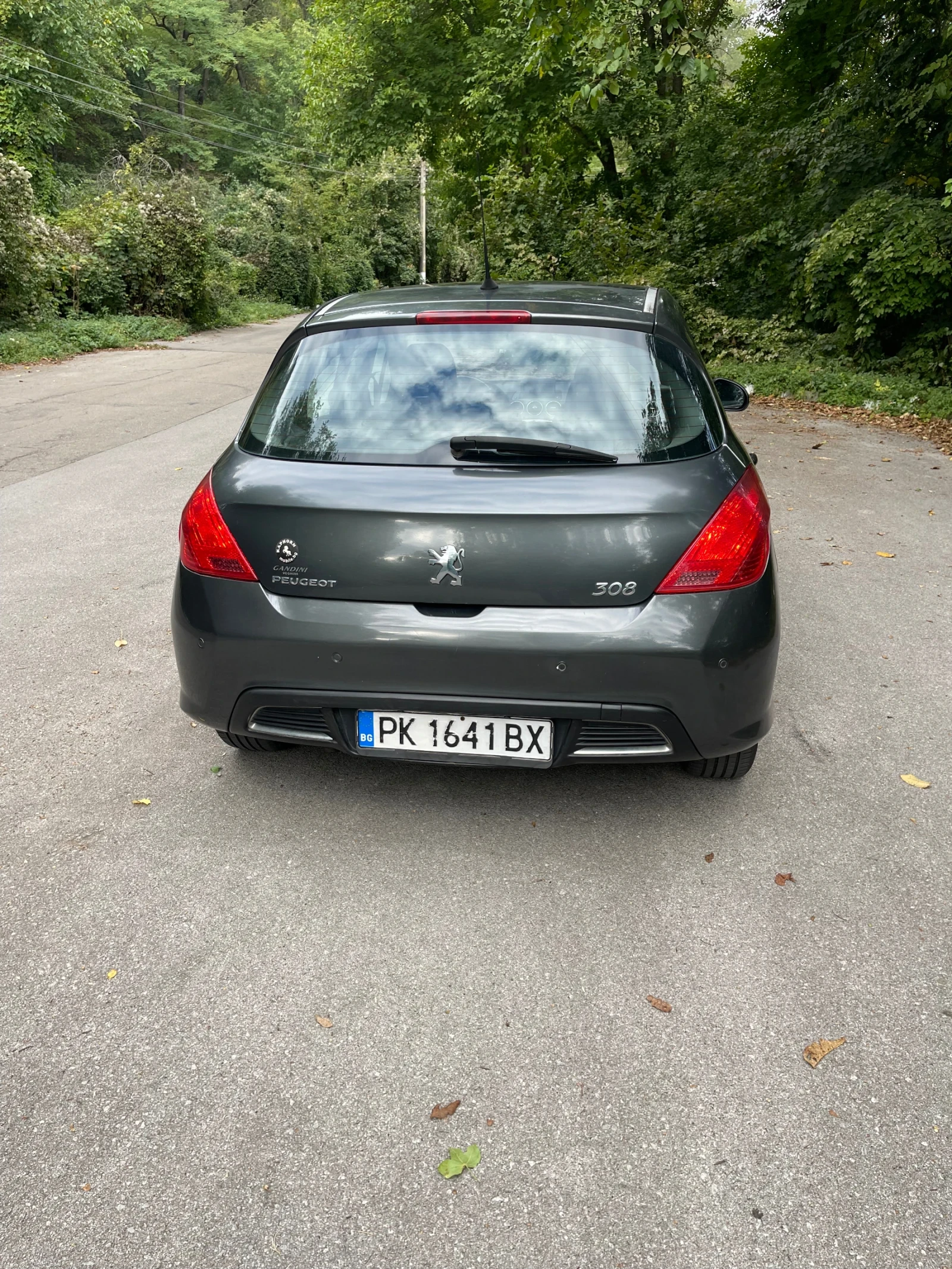 Peugeot 308 1.6 HDI, снимка 2 - Автомобили и джипове - 56215699