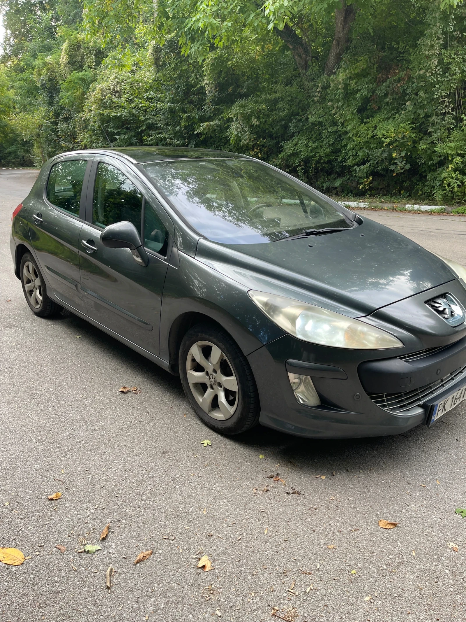 Peugeot 308 1.6 HDI, снимка 4 - Автомобили и джипове - 56215699