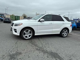 Mercedes-Benz ML 350 * BlueTEC * 360������* �������* ��������*  | Mobile.bg � ����� ������ 2