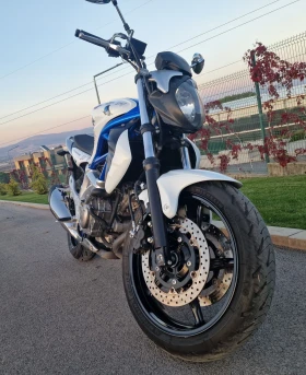 Suzuki Gladius, снимка 4