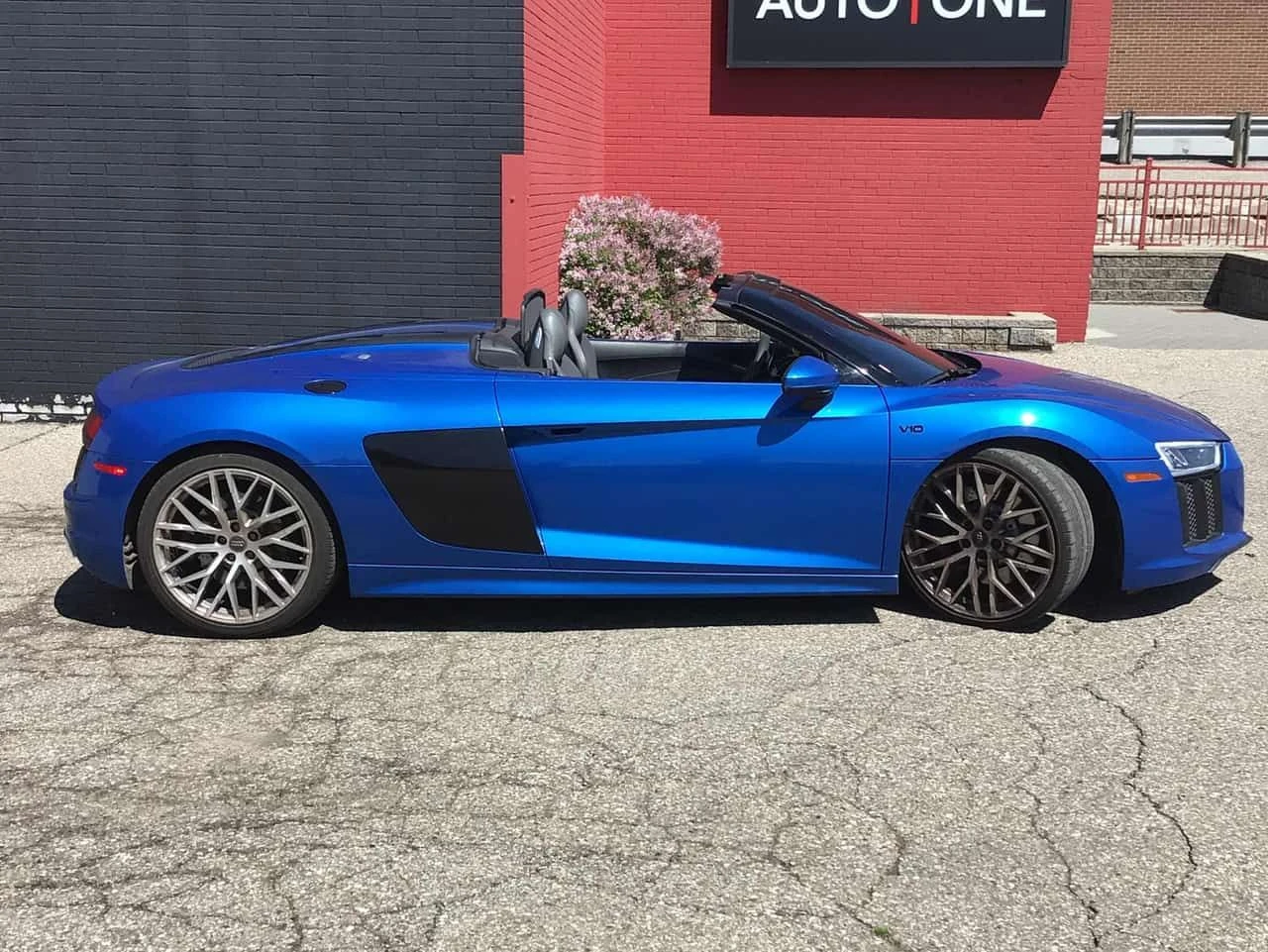 Audi R8 V10 / CABRIO / CARFAX / , снимка 3 - Автомобили и джипове - 54726396