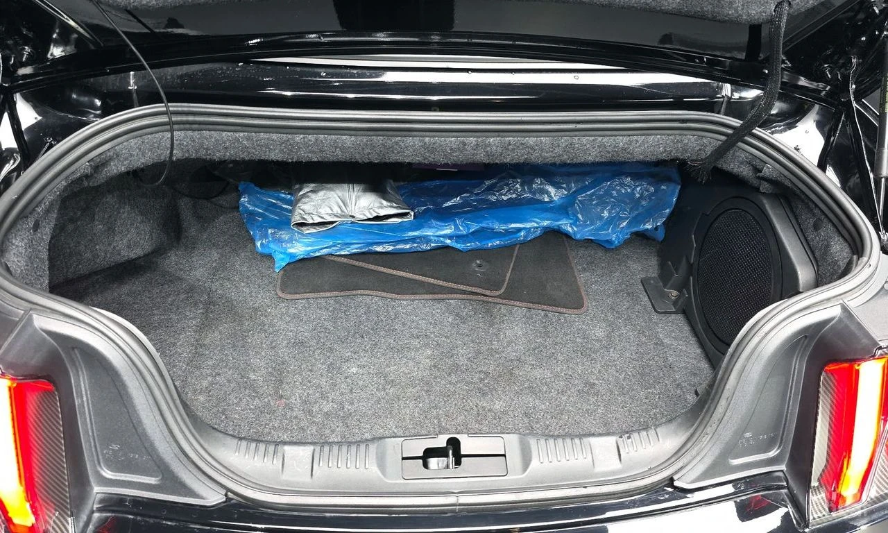Ford Mustang 5.0 GT* FACE* ПОДГРЕВ* ОБДУХВАНЕ* NAVI* КОЖА* , снимка 15 - Автомобили и джипове - 54727068