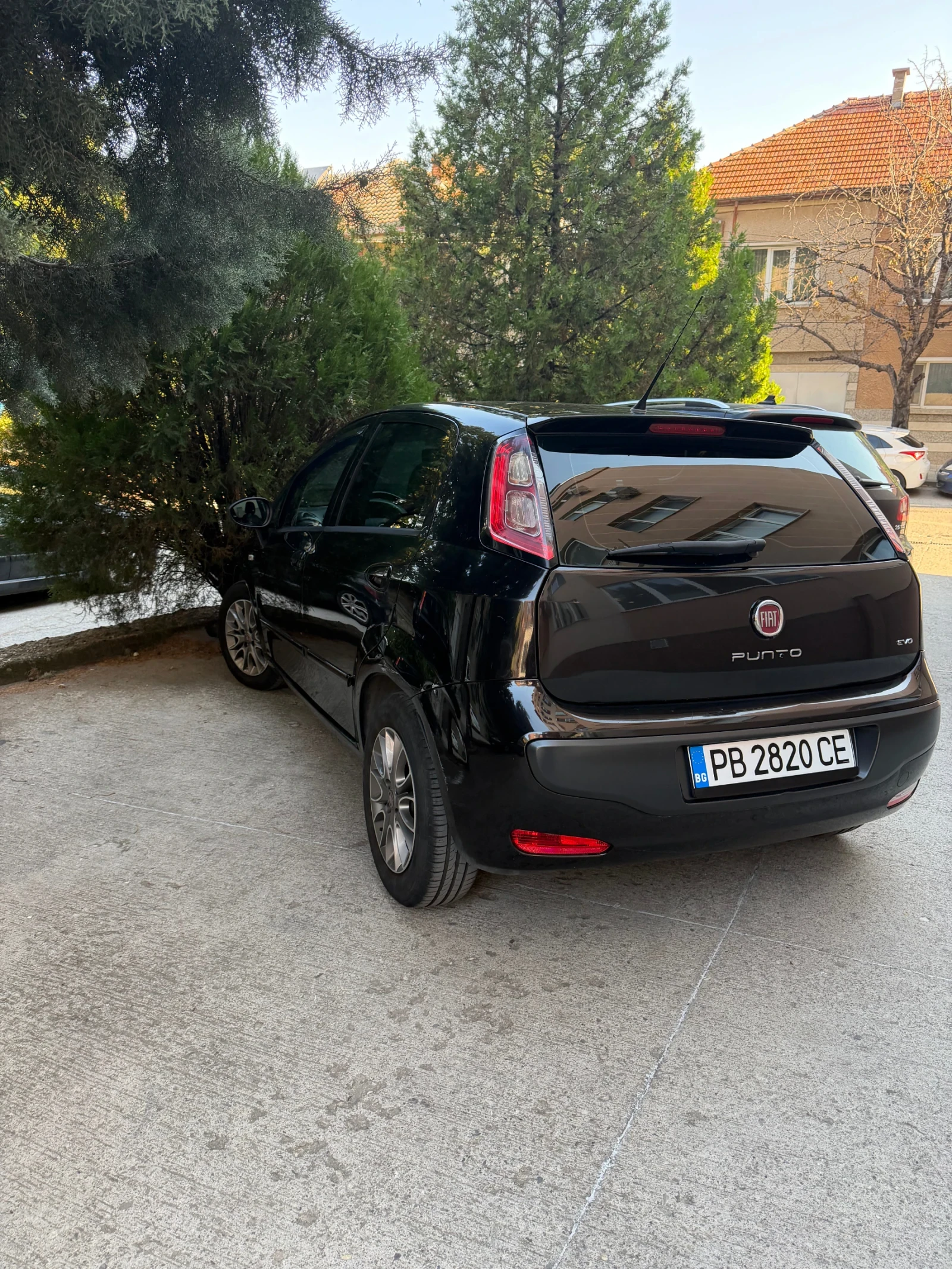 Fiat Punto 2011, снимка 6 - Автомобили и джипове - 56553729
