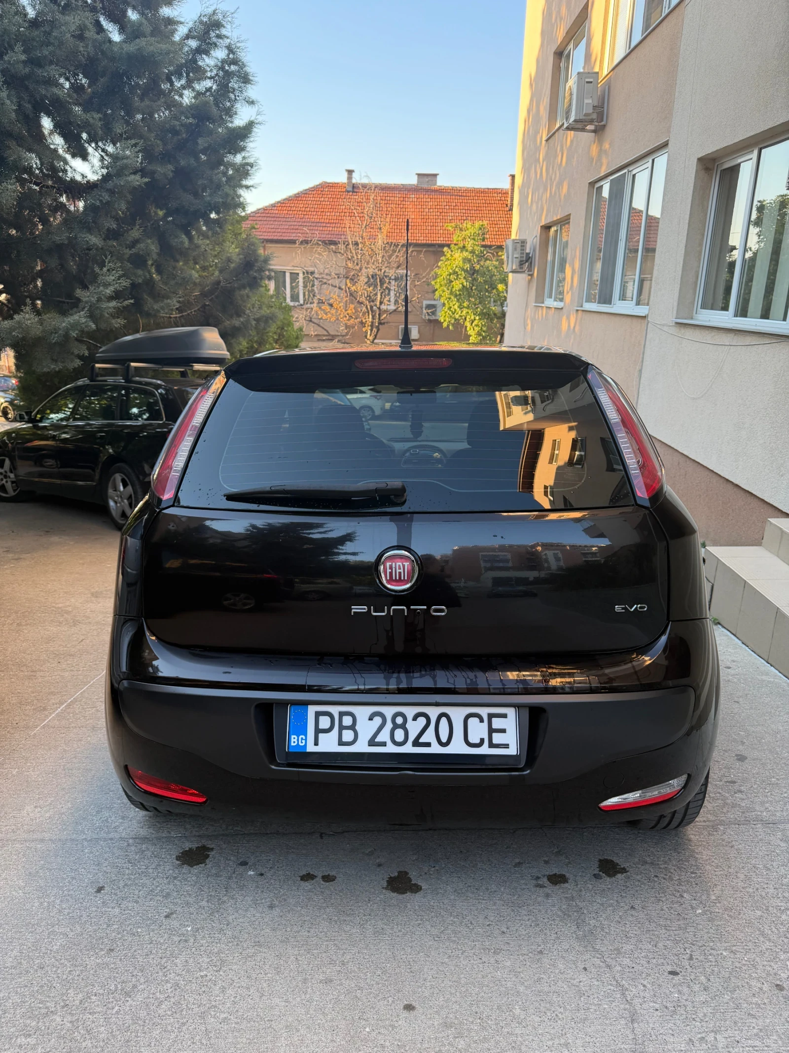 Fiat Punto 2011, снимка 3 - Автомобили и джипове - 56553729