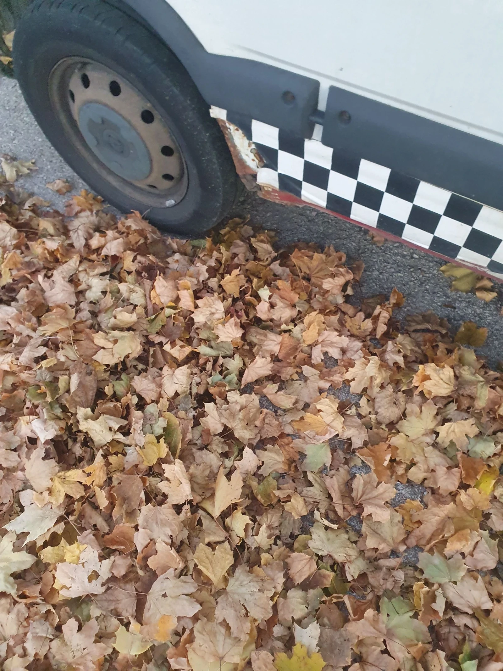 Opel Movano  - изображение 5