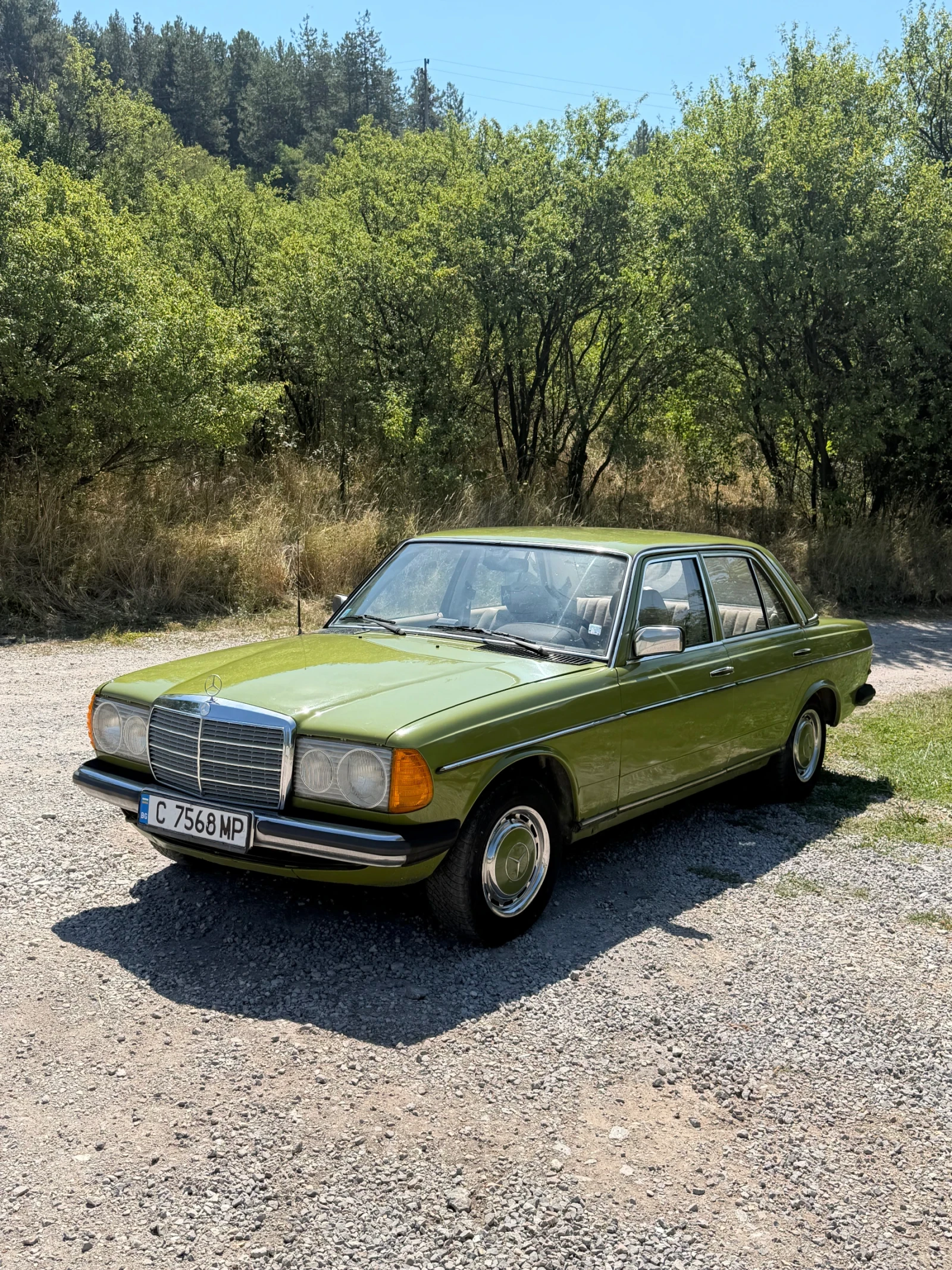 Mercedes-Benz 123, снимка 7 - Автомобили и джипове - 55638885